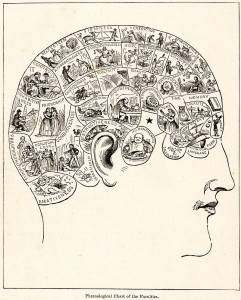 Not credited - From People's Cyclopedia of Universal Knowledge (1883) Transferred from en.wikipedia Original uploader was Whbonney at en.wikipedia. Public Domain.