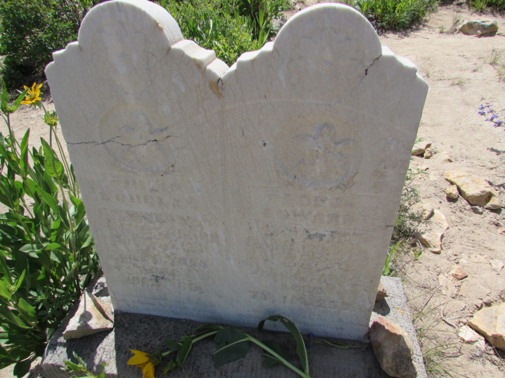 Kristin Holt | Silver City, Idaho's Ghost Town Cemetery. This double headstone is for siblings. The engraving was very difficult to make out, but the ages of the children were more readable. The one on the left is 10 months and the one on the right, 7 years. The cemetery bears evidence of the morbidity and mortality of children and women. Image: Kristin Holt, June 2016.