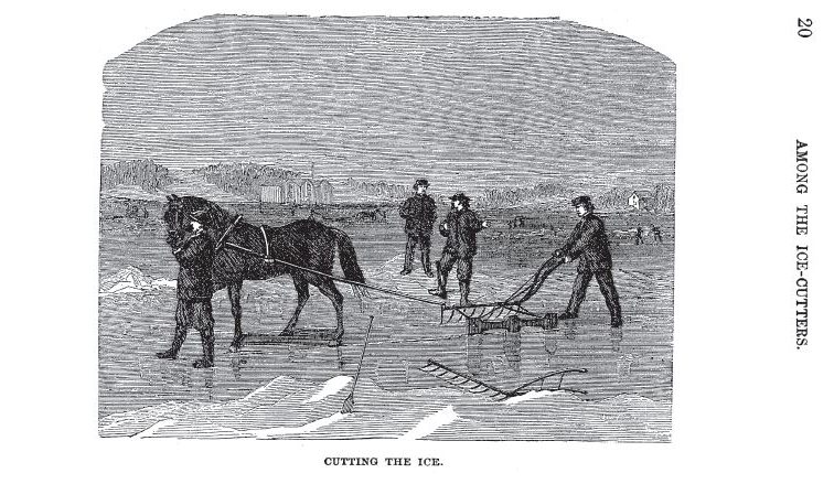 Kristin Holt | Nineteenth Century Ice Cutting, Part 2. Vintage Illustration: "Cutting the Ice," showing men, horse, and impliements engaged in cutting ice. Page 20, Lawrence's Adventures.
