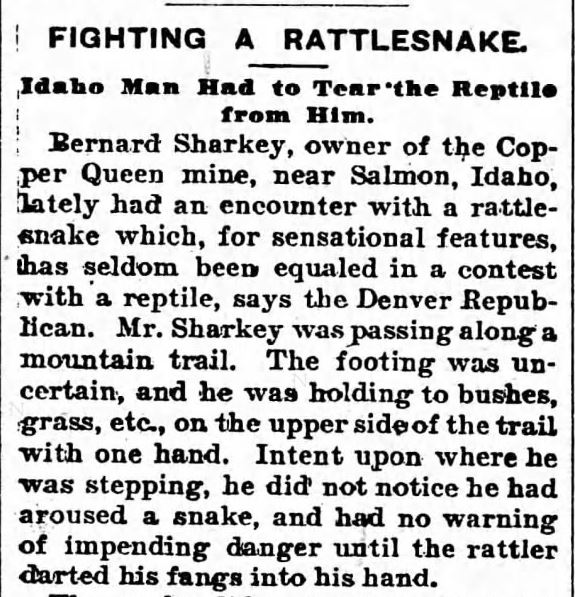 Kristin Holt | Old West Shootout--with a Rattlesnake. Fighting A Rattlesnake--Idaho Man Had to Tear the Reptile from Him. Part 1 of 2. From The Worthington Advance of Worthington, Minnesota on November 4, 1897.