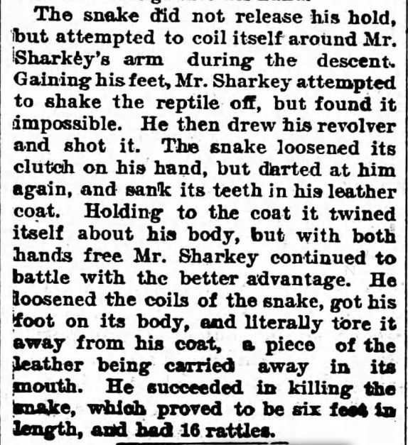 Kristin Holt | Old West Shootout--with a Rattlesnake. Fighting A Rattlesnake--Idaho Man Had to Tear the Reptile from Him. Part 2 of 2. From The Worthington Advance of Worthington, Minnesota on November 4, 1897.