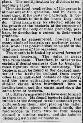 Kristin Holt | Victorian Mouths ~ Worms or Germs? Newspaper Article original, Why Teeth Decay, Part 2. Published in the St. Joseph Herald of St. Joseph, Missouri on January 15, 1889.