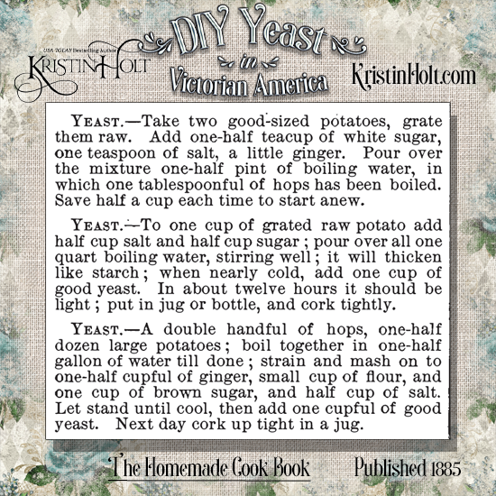 Kristin Holt | DIY Yeast in Victorian America. Two of these three homemade yeast recipes from The Homemade Cook Book, published 1885, call for ginger. One asks for "a little ginger," while the other, "one-half cupful of ginger."