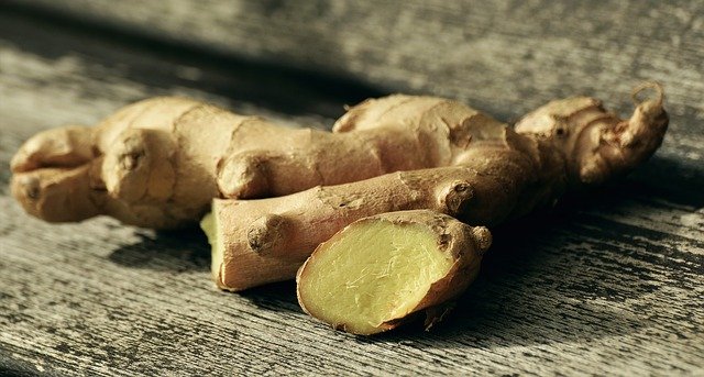Kristin Holt | DIY Yeast in Victorian America. Photo of ginger root, courtesy of congerdesign from Pixabay.