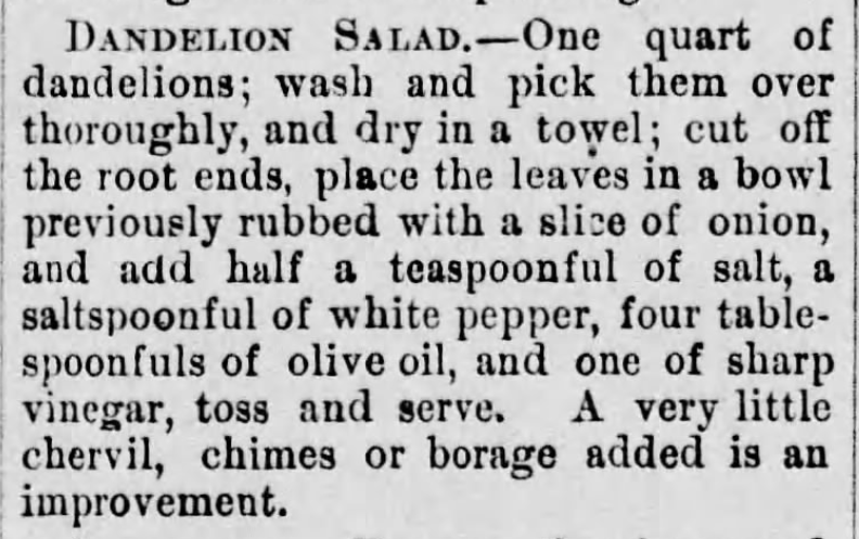 Kristin Holt | Victorian America's Dandelions. Recipe for Dandelion Salad. Published in The Daily Republican of Monongahela, Pennsylvania on April 24, 1885.
