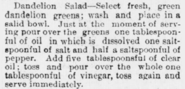 Kristin Holt | Victorian America's Dandelions. Salad of Dandelions. The Indiana State Sentinel of Indianapolis, Indiana. May 13, 1891.