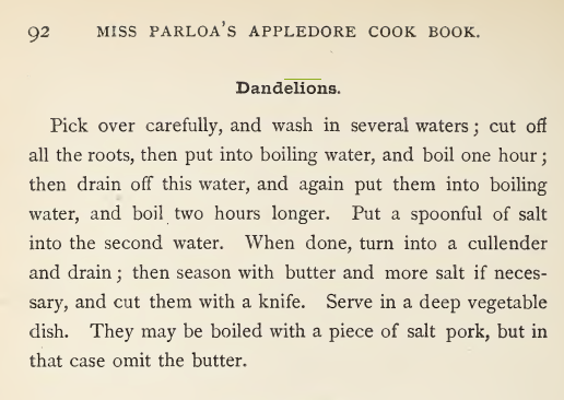 Kristin Holt | Victorian America's Dandelions. Cooked Dandelion recipe. (Note the cooking time!) From Miss Parloa's Appledore Cook Book, 1881.
