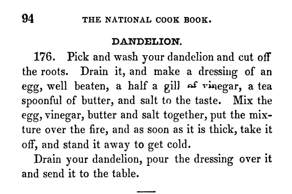 Kristin Holt | Victorian America's Dandelions. Salad (with dressing) of Dandelion from The National Cook Book by Hannah M. Bouvier (editions published 1850-1866).