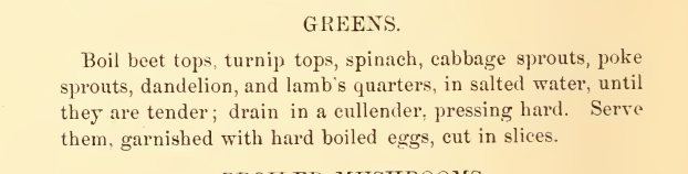 Kristin Holt | Victorian America's Dandelions. Greens Recipe published in Presbyterian Cook Book of Dayton, Ohio, 1873.