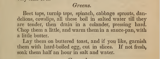 Kristin Holt | Victorian America's Dandelions. Recipe for Greens (beet tops, turnip tops, spinach, cabbage sprouts, dandelions, cowslips...) From Miss Beecher's Domestic Receipt Book Supplement to her Treatise on Domestic Economy, 1846.
