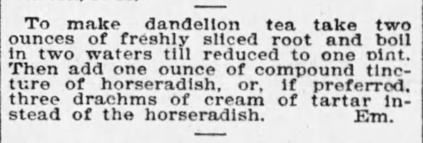 Kristin Holt | Victorian America's Dandelions. Dandelion tea made of dandelion root and tincture of horseradish. Published in The Boston Globe of Boston, Massachusetts on September 2, 1899.