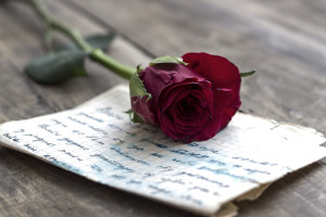 Kristin Holt | America's Victorian-Era Love Letters: Photograph of a red rose resting upon a handwritten letter, both on a wooden table.