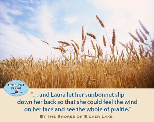 Image: Little House on the Prairie quote: "...and Laura let her sunbonnet slip down her back so that she could feel the wind on her face and see the whole of the prairie." from By The Shores of Silver Lake. Related to Courtship, Old-West Style by Kristin Holt.