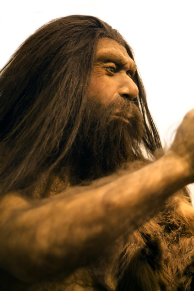 Kristin Holt | The Old West: Dental Floss & Toothpicks. Image: Caveman. Question: What did cavemen use to remove a hunk of meet from between his teeth?