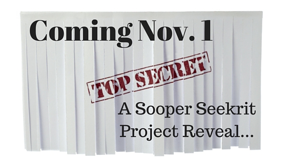 Kristin Holt | Sooper Seekrit Reveal Blog Post