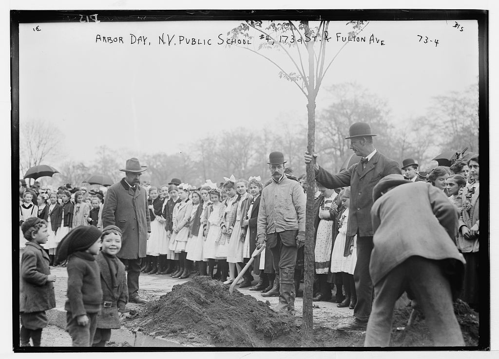 Kristin Holt | Victorian America Celebrates Arbor Day. Vintage photograph: Planting of trees, Arbor Day, N.Y. Public School #4, 173rd St. & Fulton Ave., New York, image: http://www.loc.gov/pictures/item/ggb2004000388/