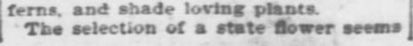 Kristin Holt | Victorian America Celebrates Arbor Day. "Morton's Arbor Day." The founder's birthday honored by Nebraska's Arbor Day. The Topeka Daily Capital of Topeka, Kansas on April 22, 1896. Part 6 of 8.