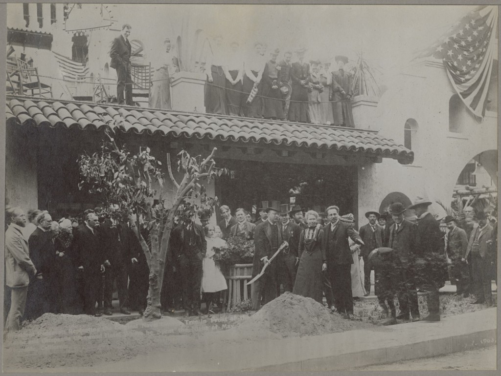 Kristin Holt | Victorian America Celebrates Arbor Day. Vintage Photograph: Theodore Roosevelt replanting a Bahai orange tree, 1903 Record Group 54 Series: Photographs of Fruits, Nuts, and Vegetables, 1883-1941 Still Pictures Identifier: 54-F-79C-9041 Rediscovery Identifier: 22419