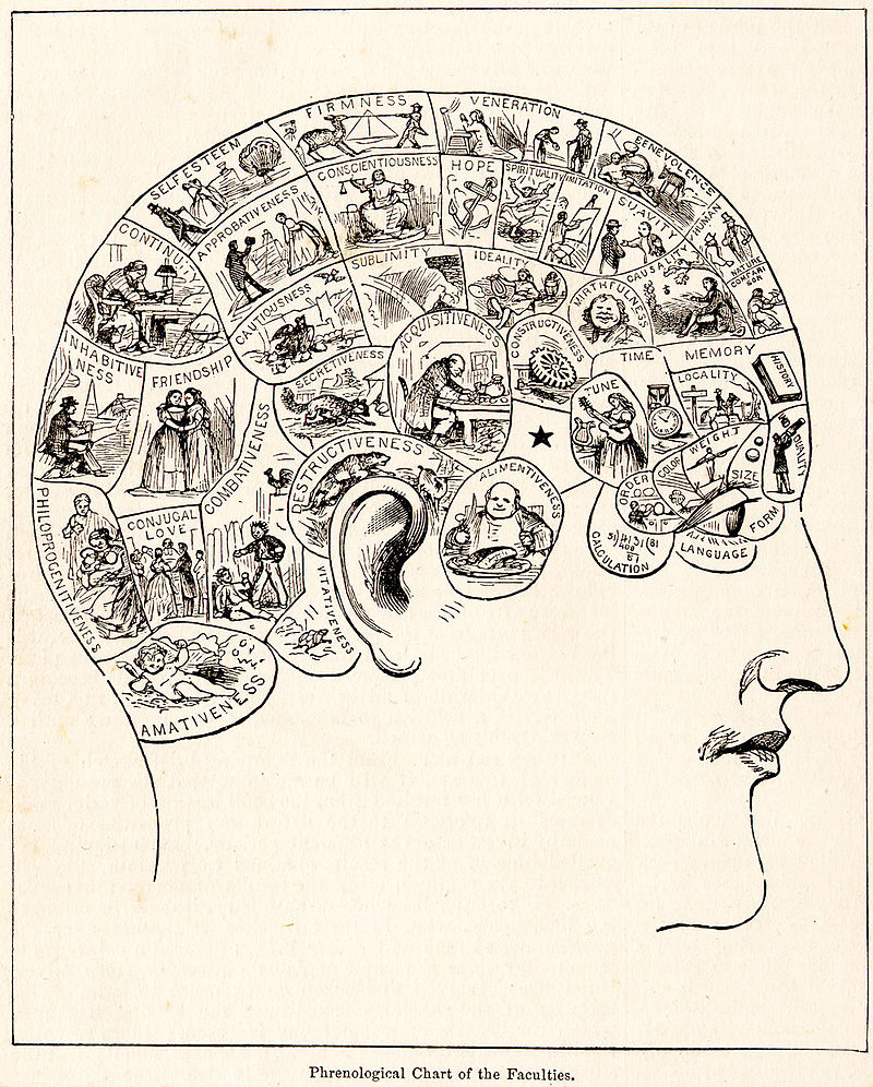 Kristin Holt | The Proper (and safe) Way to Terminate a Victorian American Courtship. Image: Phrenology Illustration, 1883. Not credited - From People's Cyclopedia of Universal Knowledge (1883) Transferred from en.wikipedia Original uploader was Whbonney at en.wikipedia. Public Domain.