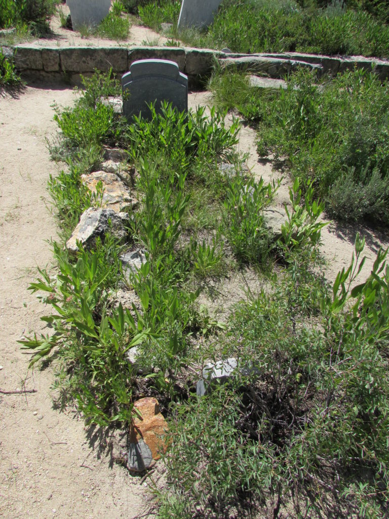 Kristin Holt | Silver City, Idaho's Ghost Town Cemetery. Quite different from modern-day cemeteries with manicured lawns, note this boom-town era grave roughly outlined in stone. The person's first name is visible in this image: Harry. Image: Kristin Holt, June 2016.