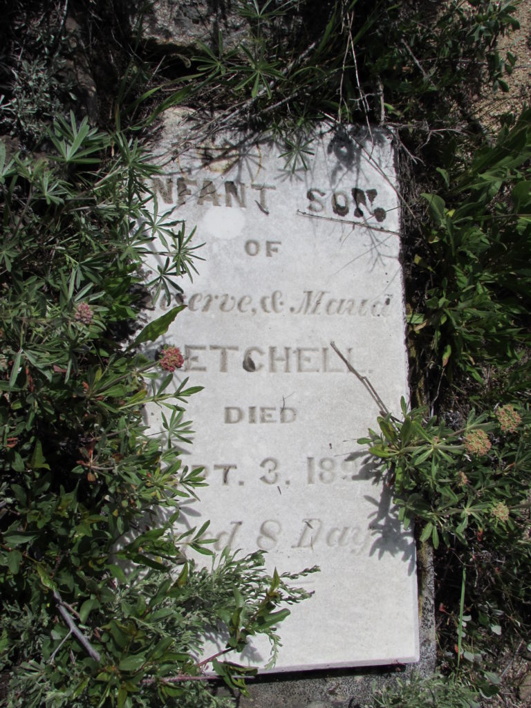 Kristin Holt | Silver City, Idaho's Ghost Town Cemetery. Meserve and Maud Getcehll's Infant Son, died Sept 3, 189X