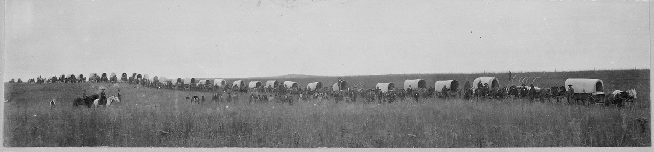 Kristin Holt | Pioneer Day: Utah's Victorian History. Indian teams hauling 60 miles to market the 1100 bushels of wheat raised by the school at Seger Colony, Oklahoma Territory, circa 1900. Image shows a long (covered) wagon train, with men mounted on horses, people walking. [Image: Public Domain, courtesy of Wikipedia]