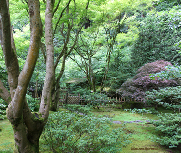 Kristin Holt | Blog Tour: Garden of Her Heart by Shanna Hatfield. Photograph of a Japanese Garden, copyrighted by Shanna Hatfield.