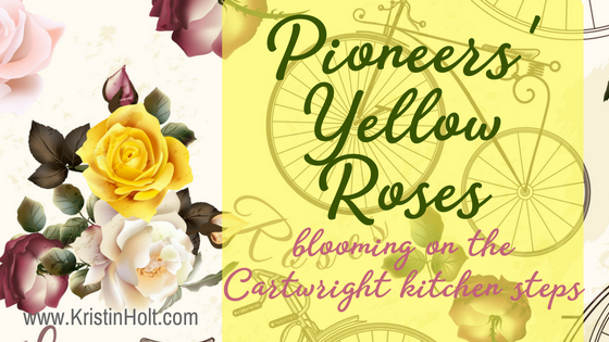 Pioneers’ Yellow Roses: blooming on the Cartwright kitchen steps