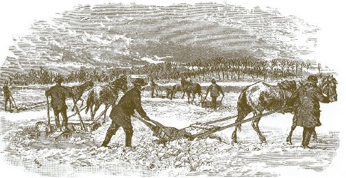 Kristin Holt | Nineteenth Century Ice Cutting, Part 2. Vintage illustration: men scraping snow from the surface of the ice. From Scribner's Monthly, August 1875.