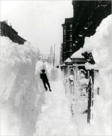 Kristin Holt | Victorian Blizzards, Nonstop in the 1880s. Vintage photograph published in New York Times. Great Blizzard of 1888 in NYC. A view of Madison Avenue wouth from 50th Street.