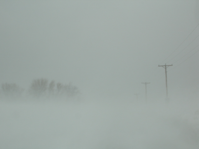 Kristin Holt | Victorian Blizzards, Nonstop in the 1880s. Contemporary photograph of Blizzard Conditions.