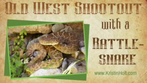 Kristin Holt | Old West Shootout with a Rattlesnake