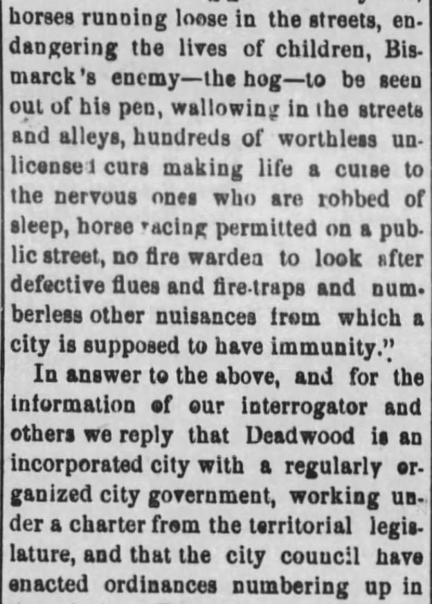Kristin Holt | "Nineteenth Century Problems". The Black Hills Daily Times of Deadwood, South Dakota, May 22, 1884. Part 2.