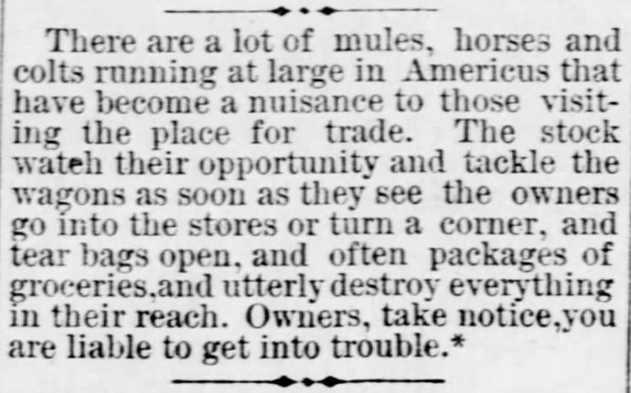 Kristin Holt | "Nineteenth Century Problems". The Americus Weekly Herald of Americus, Kansas, December 22, 1881.