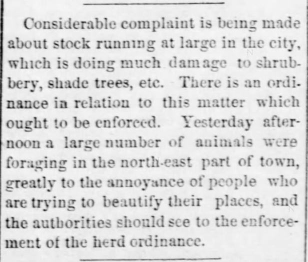 Kristin Holt | "Nineteenth Century Problems". Emporia Daily News of Emporia, Kansas, July 17, 1882.
