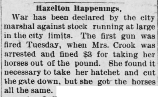 Kristin Holt | "Nineteenth Century Problems". Barber County Index of Medicine Lodge, Kansas. June 4, 1890.