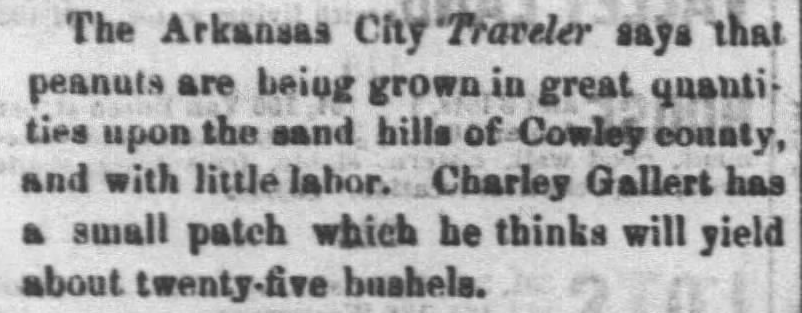Kristin Holt | Peanut Butter in Victorian America. Snip from The Daily Commonwealth of Topeka, Kansas, August 23, 1871. Peanuts are grown upon the sand hills of Cowley county, and with little labor. (Peanuts are grown in Kansas.) Kristin Holt | Peanut Butter in Victorian America. Snip from The Daily Commonwealth of Topeka, Kansas, August 23, 1871. Peanuts are grown upon the sand hills of Cowley county, and with little labor. (Peanuts are grown in Kansas.)