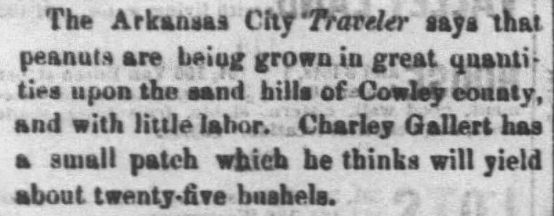 Kristin Holt | Peanut Butter in Victorian America. Snip from The Daily Commonwealth of Topeka, Kansas, August 23, 1871. Peanuts are grown upon the sand hills of Cowley county, and with little labor. (Peanuts are grown in Kansas.)