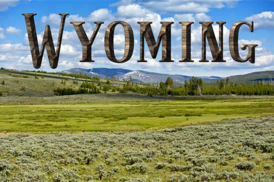 Kristin Holt | The Great State of Wyoming. Related to Series Description: Professional Women of Wyoming Territory Trilogy.