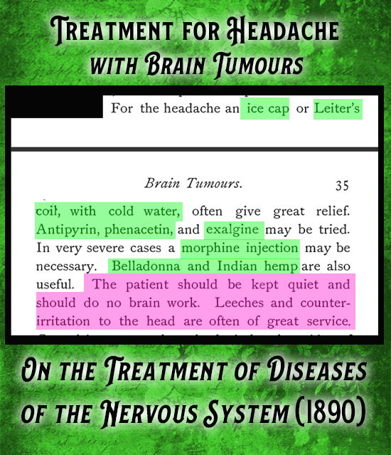 Kristin Holt | Victorian-American Headache: Part 7. Treatment for Headache with Brain Tumours from On The Treatment of Diseases of the Nervous System (1890). "For the headache an ice cap or Leiter's coil, with cold water, often give great relief. Antipyrin, phyenacetin, and exalgine may be tried. In very severe cases a morphine injection may also be necessary. Belladonna and Indian Hemp are also useful. The patient should be kept quiet and should do no brain work. Leeches and counter-irritation to the head are often of great service."