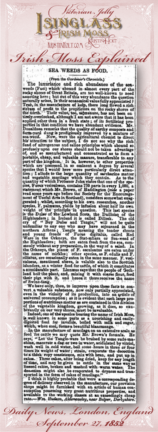 Kristin Holt | Victorian Jelly: Isinglass and Irish Moss. Sea Weeds as Food, explaining Irish Moss in culinary uses. From Daily News of London, England, September 27, 1852.