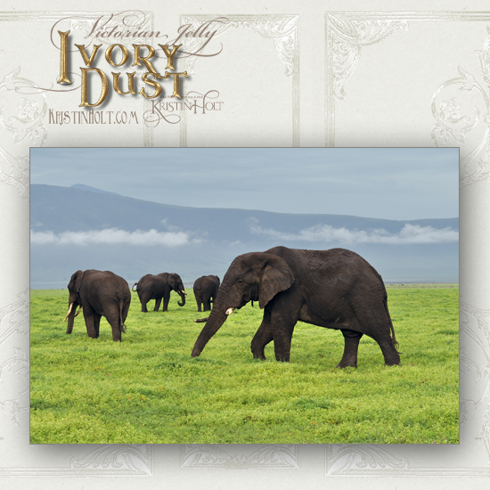 Kristin Holt | Victorian Jelly: Ivory Dust. Photograph of African elephant herd on green field.