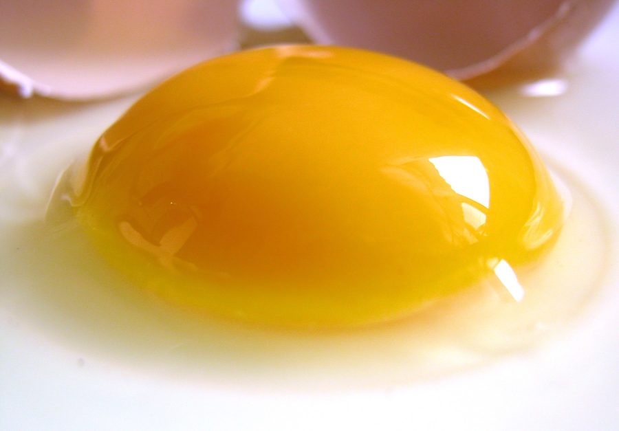 Kristin Holt | Victorian America's Gold and Silver Cakes. Photo: Raw Egg, with prominent yellow yolk. Image: Public Domain, courtesy of Wikipedia.
