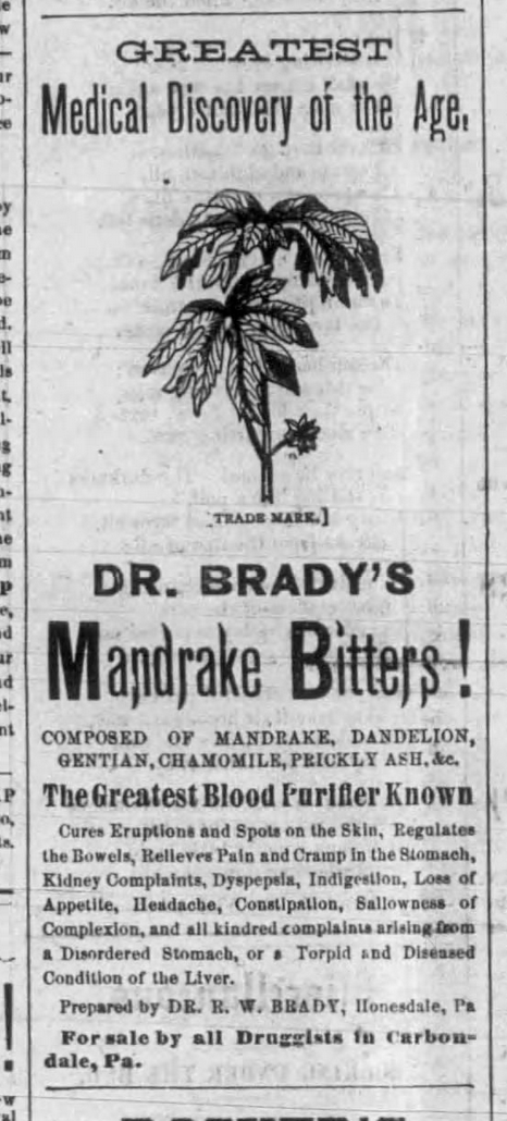 Kristin Holt | Victorian America's Dandelions. Dr. Brady's Mandrake Bitters! Composed of Mandrake, Dandelion, Gentian, Chamomile, Prickly Ash, &c." Carbondale Advance of Carbondale, Pennsylvania on January 3, 1880. 