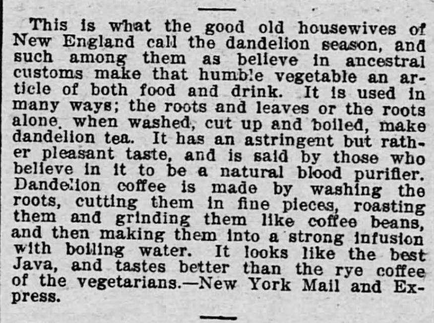 Kristin Holt | Victorian America's Dandelions. Dandelion Season, and all its various uses. The Saint Paul Globe of Saint Paul, Minnesota. June 5, 1898.