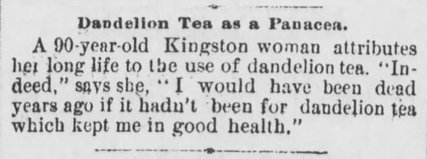 Kristin Holt | Victorian America's Dandelions. Elderly woman credits her long life to dandelion tea. Published in The Kingston Daily Freeman of Kingston, New York on February 15, 1889. 