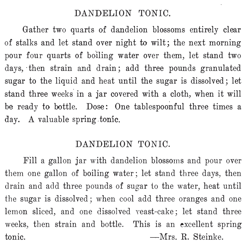 Kristin Holt | Victorian America's Dandelions. Two Dandelion Tonic recipes for at-home preparation. Published in The West Bend Cook Book, 1908.