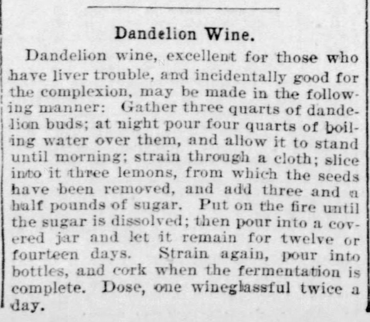 Kristin Holt | Victorian America's Dandelions. Dandelion Wine instructions with dose: one wineglassful twice a day. Democrat and Chronicle of Rochester, New York on April 4, 1897.