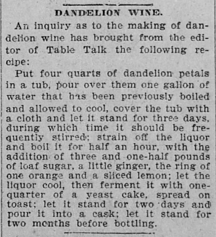 Kristin Holt | Victorian America's Dandelions. Recipe: Dandelion Wine published in The Salt Lake Herald of Salt Lake City, Utah on June 27, 1896.
