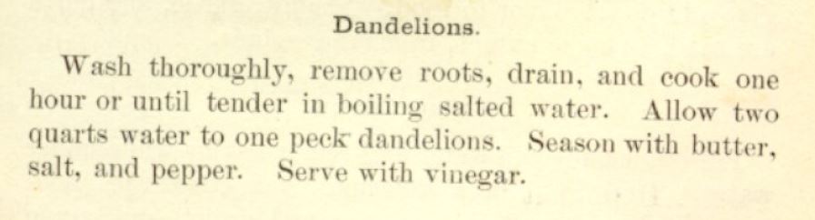 Kristin Holt | Victorian America's Dandelions. The Boston Cooking-School Cookbook by Fannie Merritt Farmer, 1896.